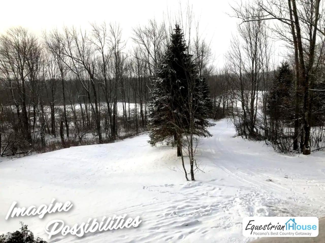 Escape Near Elk Close To Camps - 35 Off Promo - Fjord * Pleasant Mount